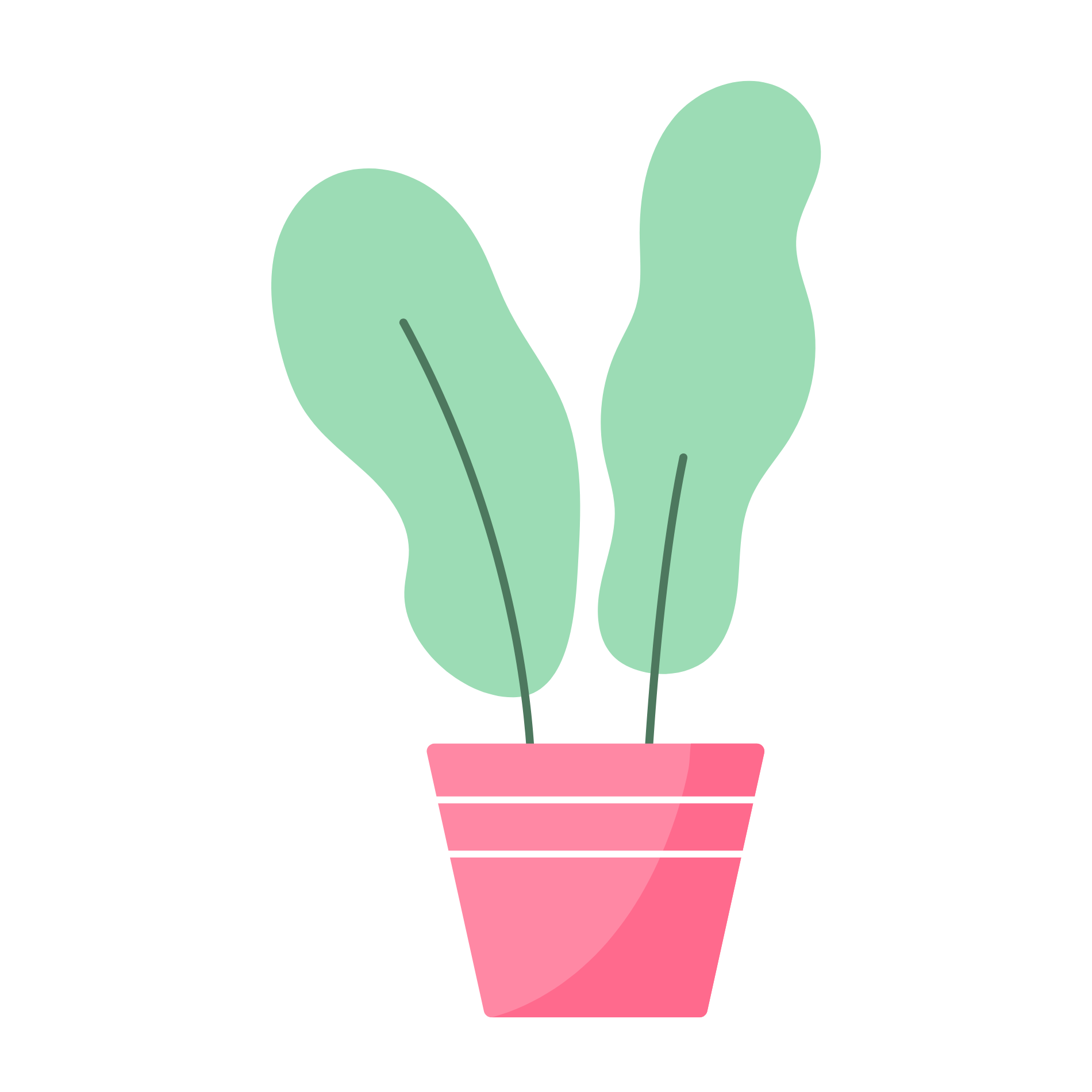 Decoration